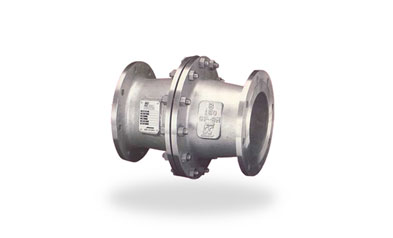 Alloy 20 Check Valves