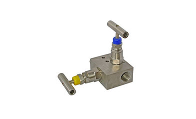 Alloy 20 manifold Valve