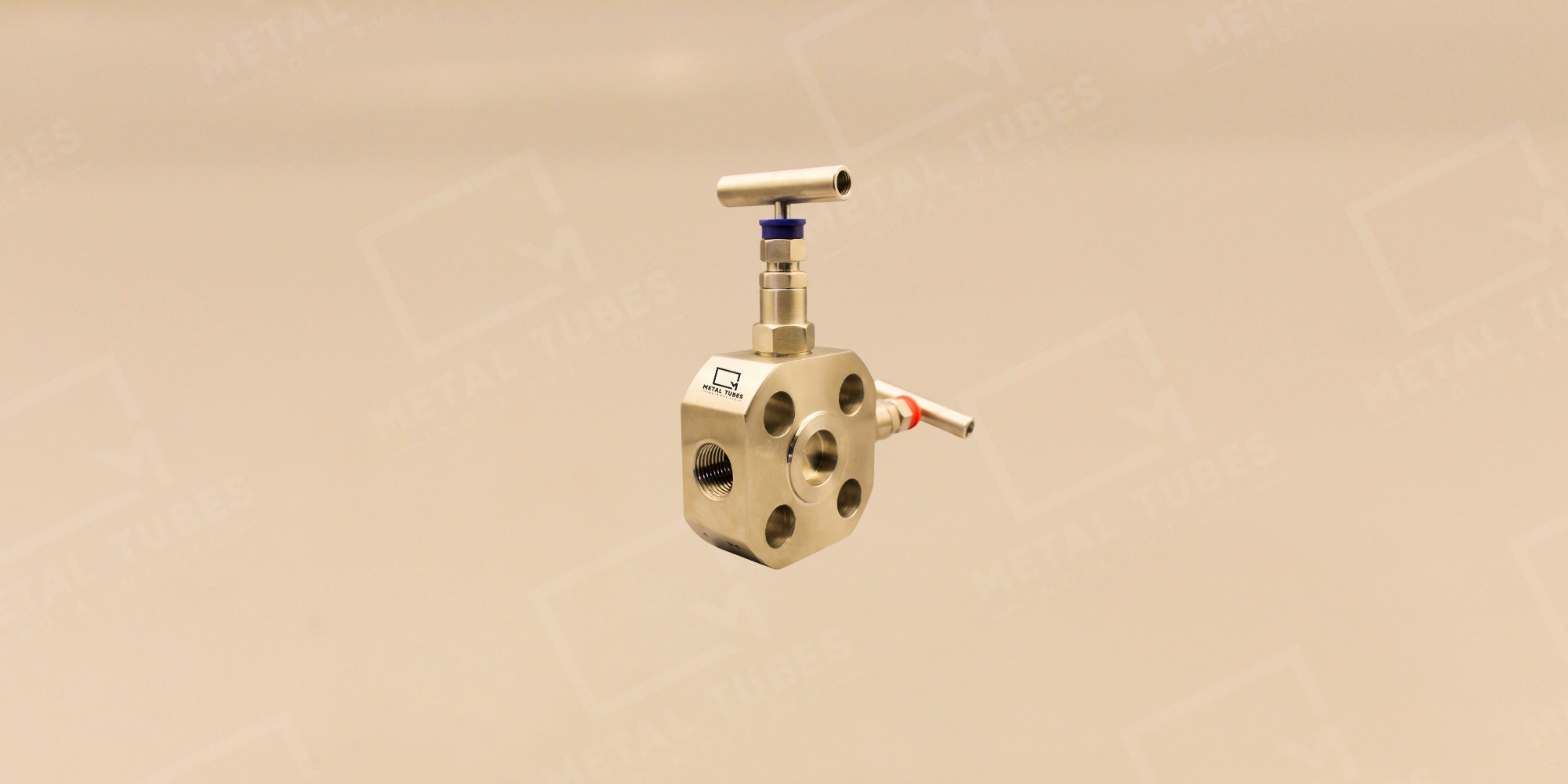 Block & Bleed Valves